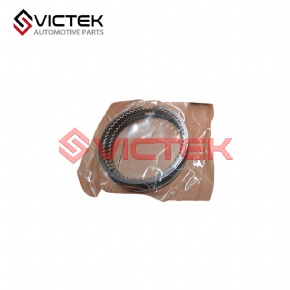 Piston Ring  STD S1004L21153-50006