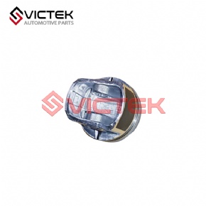 Pistion 0.50 LFB479Q-1004012A