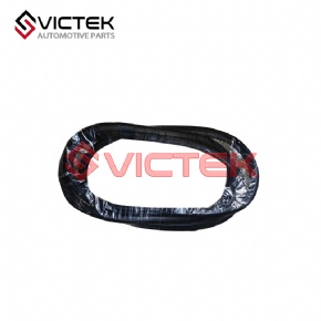 Front door sealing strip 6107111-SF01