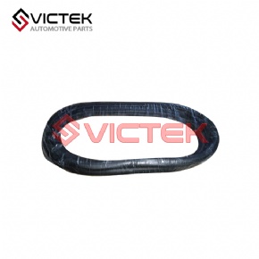 Rear door sealing strip 6207111-SF01
